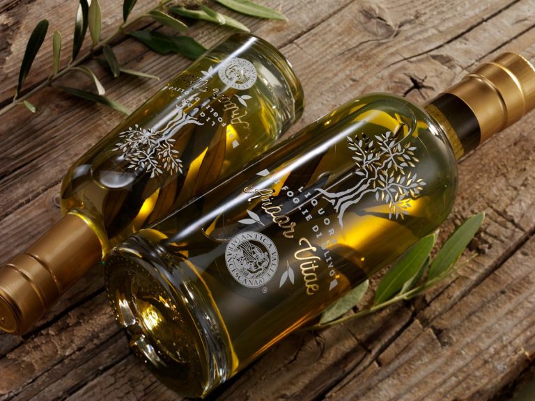 Arbor Vitae Antica Valle Francescana